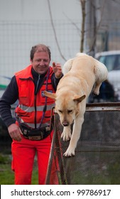 TRINO VERCELLESE, ITALY- MARCH 10: Civil Defense During Dog Handling On March, 10, 2012 In Trino Vercellese, Italy. Rescue Workers Trained Dogs To Search And Save Missing Person