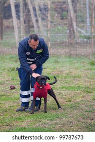 TRINO VERCELLESE, ITALY- MARCH 10: Civil Defense During Dog Handling On March, 10, 2012 In Trino Vercellese, Italy. Rescue Workers Trained Dogs To Search And Save Missing Person