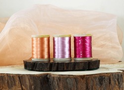 Trio Of Vintage Cotton Reels Arranged Next To Each Other On A Piece Of Live-edge Wood, Against A Peach-coloured Fabric Background. Shallow Depth Of Field. Randburg, South Africa: 04-11-2024