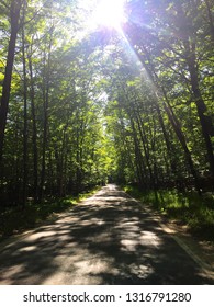 A Trip Down The Tunnel Of Trees In Northern Michigan In June.