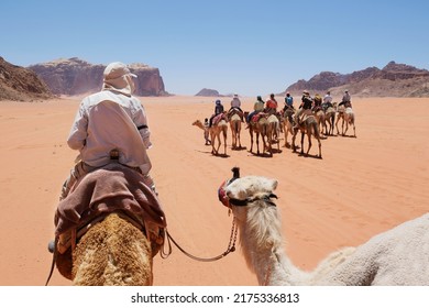 Trip on camels on Wadi Rum Desert in Jordan. The amazing Wadi Rum desert with Martian scenery. - Shutterstock ID 2175336813