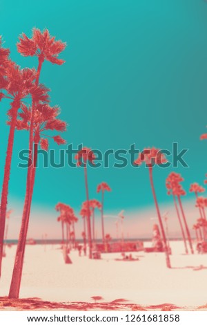 Tripical beach with palm trees. Holiday and vacation concept. California landscape. Surreal living coral toning. Vertical