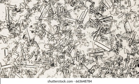 Triple Phosphate Crystals In Human Urine Sediment. Crystals  In Alkaline Human Urine.