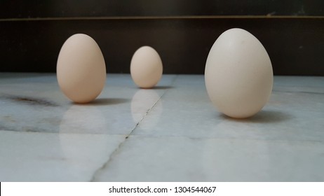 Triple Vertical Egg Defy Gravity