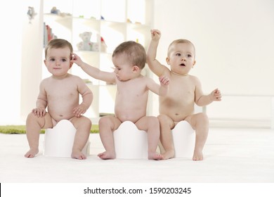 Triplet Babies Sitting On Potty Chairs