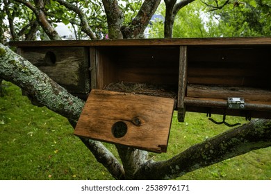 Triplet of birdhouses in a tree - Powered by Shutterstock