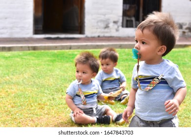 Triplets Boys On Landscape Green Garden