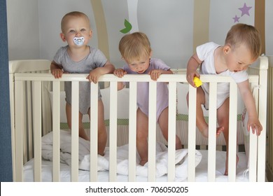 Triplets In The Crib, Triplets Baby Two Boys And A Girl - Together