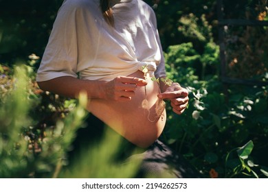 It's Triplets! Pregnant Woman In The Garden With Triplets In Her Belly, Holding Three Sprouted Plants