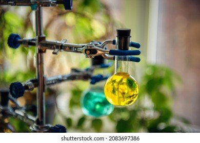 Tripod With Round Glass Flasks And Colored Liquids On Blurry Background In Chemistry Room. Close-up. Experiments In Microbiology Class.