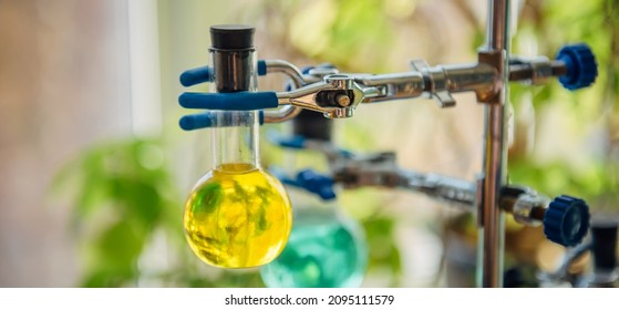 Tripod With Round Glass Flasks And Colored Liquids On Blurry Background In Chemistry Room. Close-up. Experiments In Microbiology Class.