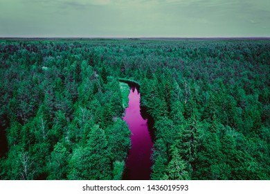 A Trippy And Bloody River In The Forest