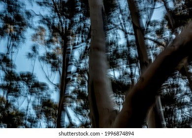 Trippy Fragmented Trees In Dark Forest Under Hazy Blue Sky - Abstract Motion-blurred Background Texture 