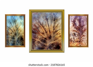 Triptych Of  3 Golden Frames With Abstract Photos From The Air That Imitate The Plants Of The Deserts Of Africa, On A White Background,