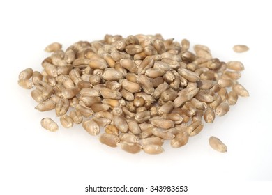 Triticale; Winter; Triticosecale; Rimpau