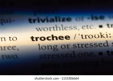 trochee word in a dictionary. trochee concept.