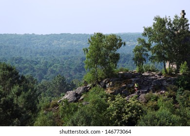 Trois Pignons Massif In Forest Of Fontainebleau