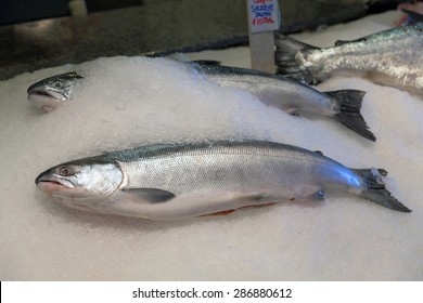 Troll Caught Whole Fresh Sockeye Salmon Fish On Ice For Sale In Market