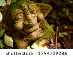 troll under the leaves of a plant in the garden