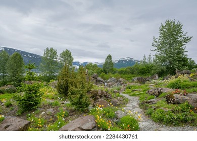Tromso, Norway - June 30, 2020: View of The Arctic–Alpine Botanic Garden in summer