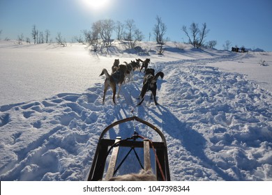 TROMSO, NORWAY - MARCH 7, 2017: Dog Sledding Tour On A Cold And Chilly Winter Day At The Mountains Of Tromso