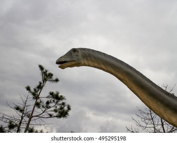 Troodon Dinosaur In Nature