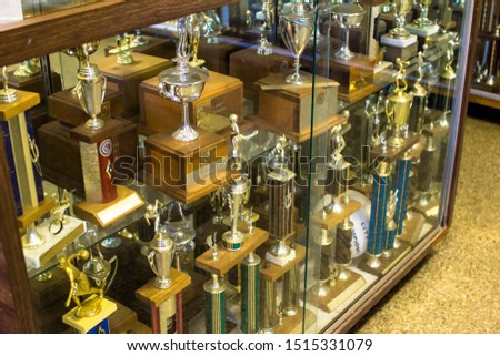 Trophy Display Case Shelf made of Glass & Wood full of Gold & Silver Trophies, Rewards, Awards and Cups for School Sports including Basketball, Baseball, Football, Bowling, Soccer, Volleyball etc.