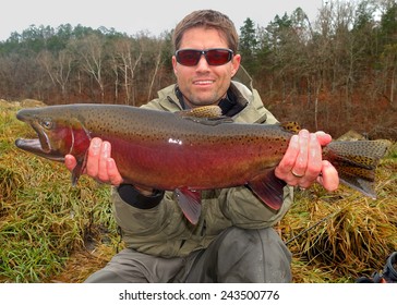 Fly Fisherman Holding Brown Trout Fish Stock Photo (Edit Now) 173491901