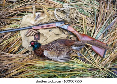 trophy of the hunter pheasant for cooking