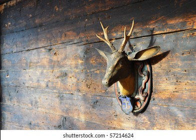 Trophy On A Wooden Wall Of A Lodge