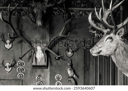 Trophy room, castle of Count Branicki, Montrésor, department of Indre and Loire, France,Western Europe