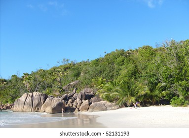 tropic beach