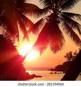Tropic coconut palms silhouette and exotic outdoors sunset on Seychelles islands location. Sun flare on sea horizon Ã¢Â?Â? paradise travel vacation