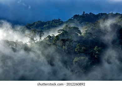 Tropic fog clouds forest, high mountain in Ecuador. Pichincha (4794 m), hill in clouds on blue sky. Travelling in South America. Ecuador landscape, active stratovolcano. - Powered by Shutterstock