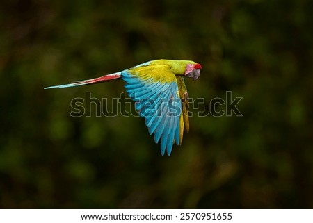 Similar – Image, Stock Photo twosome Animal portrait