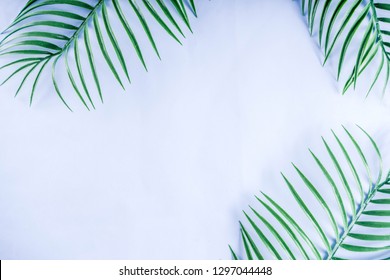 Tropical Background. Palm And Monstera Leaves On Yellow Blue  Background. Flatlay, Top View, Minimal Layout, Summer Concept