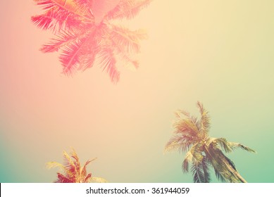 Tropical  Background With Palm Trees In Sun Light. For Holiday Travel Design. Toned Pastel Effect