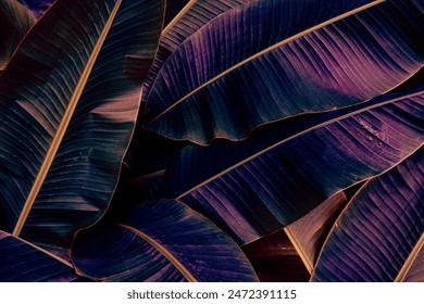 tropical banana leaf texture background, glow in the dark color  - Powered by Shutterstock