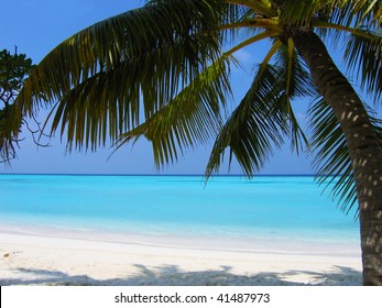 878 Carribbean Beaches Images, Stock Photos & Vectors | Shutterstock