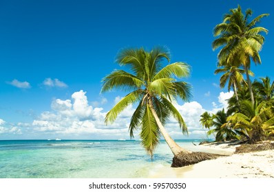 Tropical beach - Powered by Shutterstock