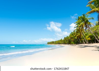 Tropical beach amazing view. Clear white sand beach in summer day. Waves of blue sea break on sunny beach. Cuba palms beach landscape background.