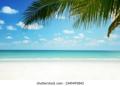 Tropical Beach Background Palm Tree Summer Stock Photo 1349495843 ...