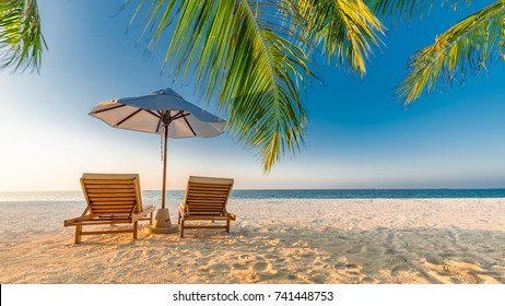 Tropical beach background as summer landscape with lounge chairs and palm trees and calm sea for beach banner - Shutterstock ID 741448753