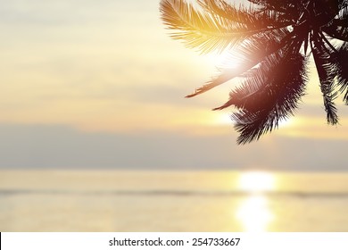 Tropical Beach Background At Sunset (sunrise) With Coconut Palm Tree