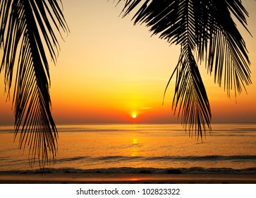 Beach Sunset Hd Stock Images Shutterstock
