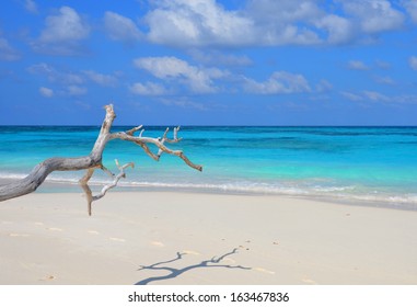 Tropical Beach. Bird Island, Seychelles.