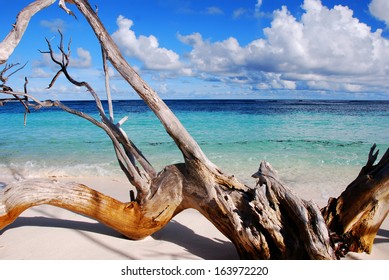 Tropical Beach. Bird Island, Seychelles.