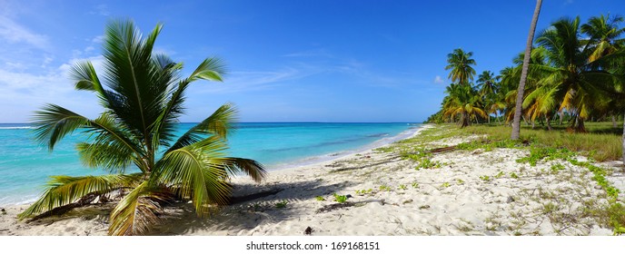 Tropical Beach Blue Sky Stock Photo (Edit Now) 169168151