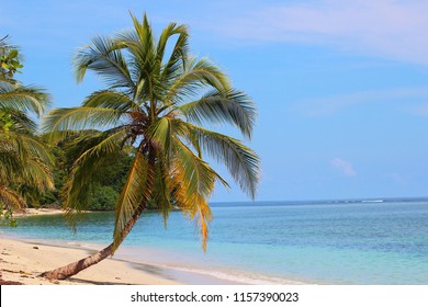 Tropical Beach Cahuita Costa Rica Stock Photo 1157390023 | Shutterstock