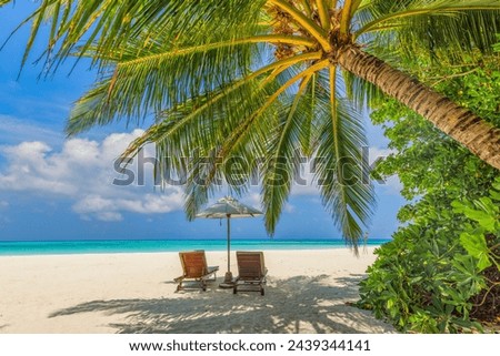 Tropical beach coast as summer landscape. Leisure couple chairs palm trees, calm sea sky. Luxury paradise honeymoon travel landscape, beautiful destination for vacation tourism scene. Love holiday